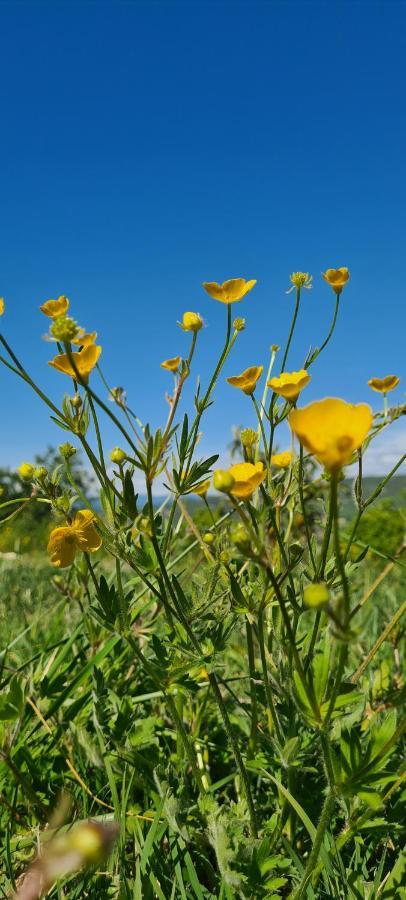 Hebergements Insolites - Detente En Luberon Viens Kültér fotó